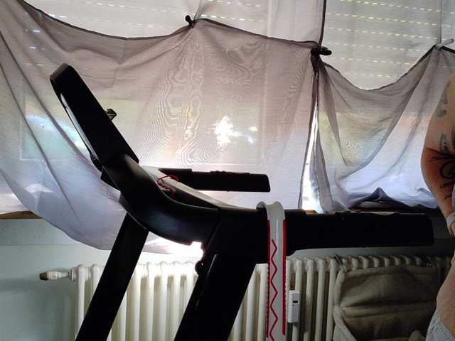 Wetgerman2