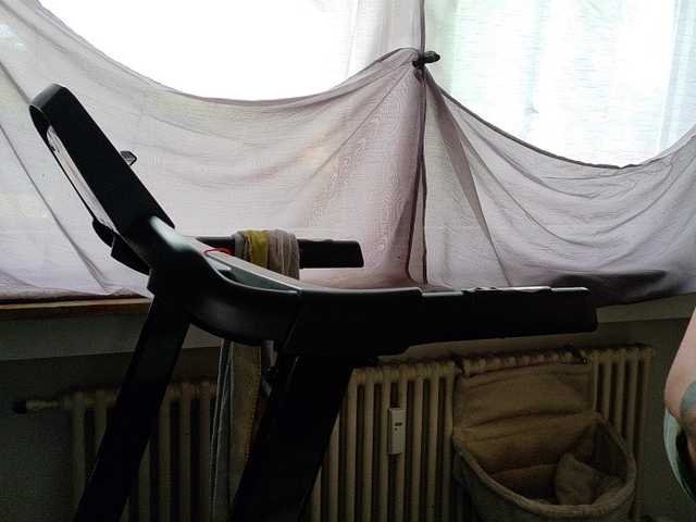 Wetgerman2 live cam on BongaCams