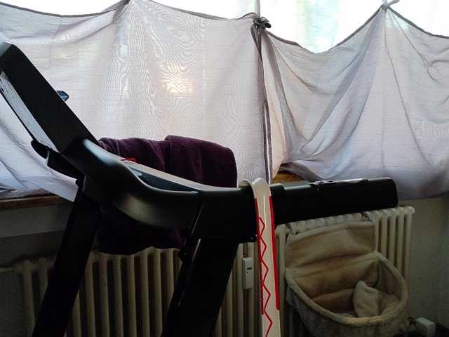 Wetgerman2
