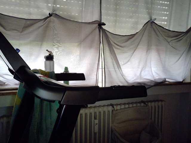 Wetgerman2 live cam on BongaCams