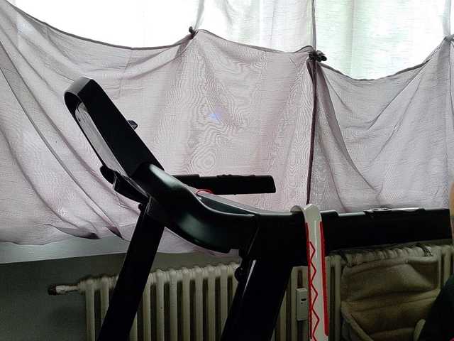 Wetgerman2 live cam preview