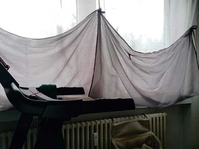 Preview of wetgerman2