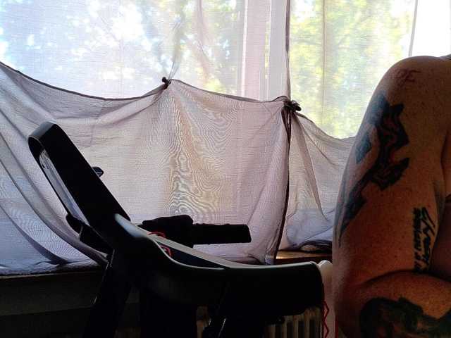 Wetgerman2 live cam on BongaCams