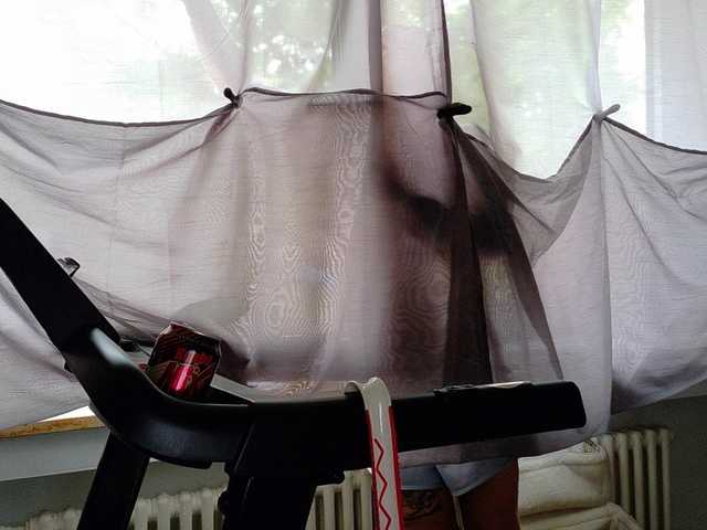 Wetgerman2 live webcam show
