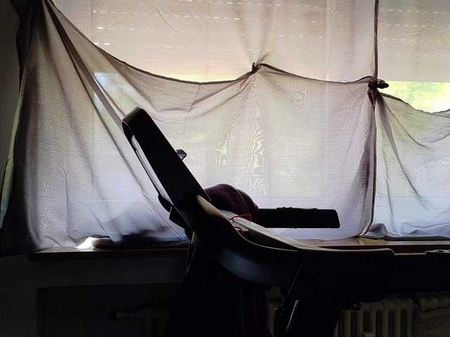 Wetgerman2 live cam on BongaCams