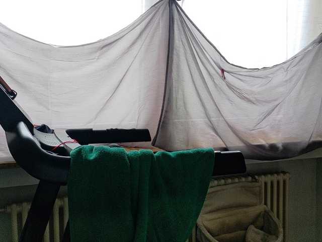 Wetgerman2's BongaCams show and profile