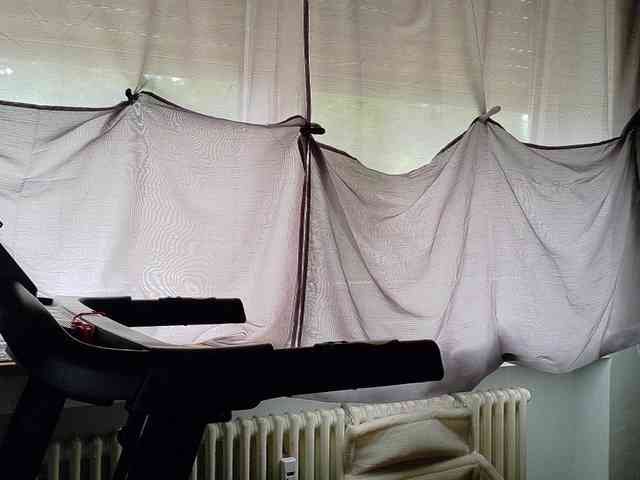 Wetgerman2 webcam