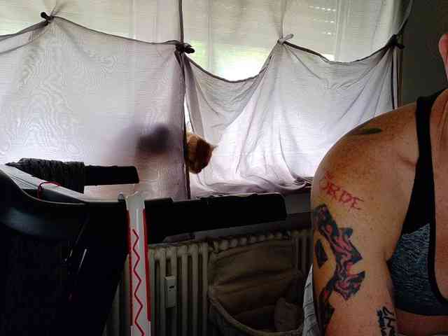 Wetgerman2 webcam