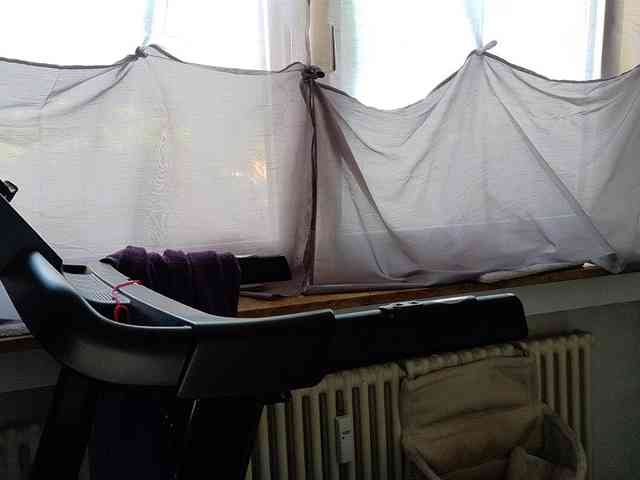 Wetgerman2 webcam