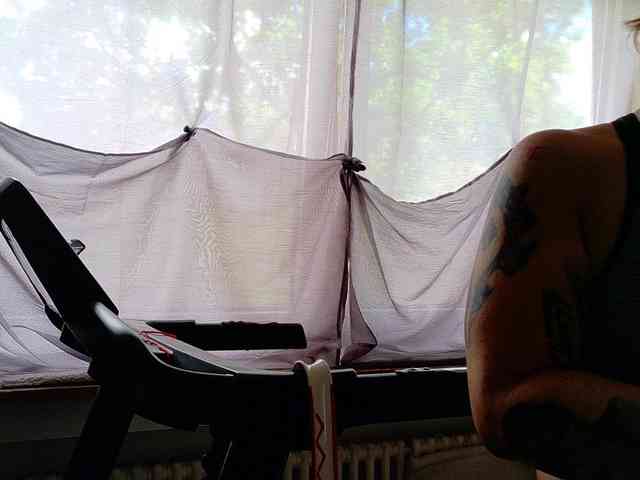 Wetgerman2 webcam