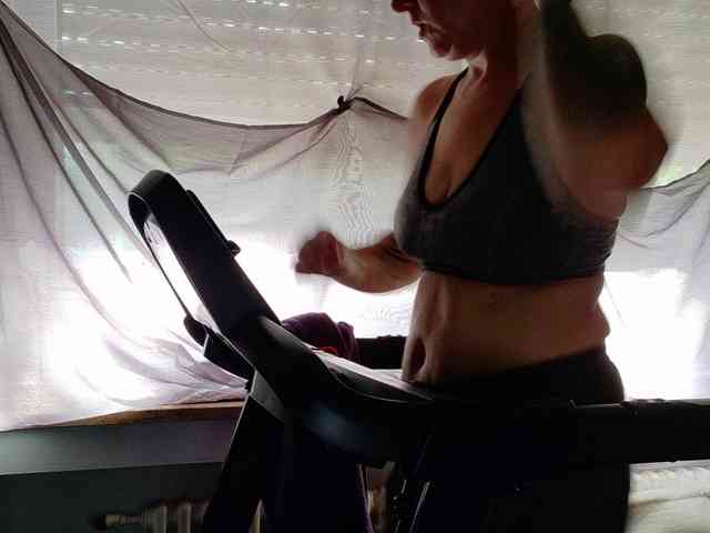 Wetgerman2 webcam