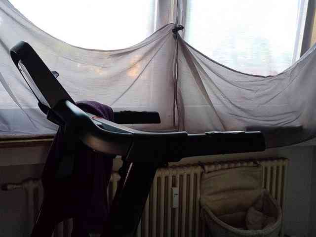 Wetgerman2 webcam