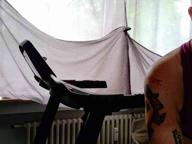 Wetgerman2 webcam