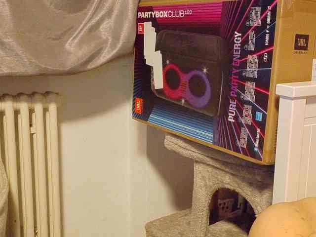 Wetgerman2 webcam