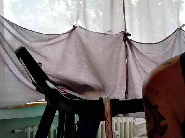 Wetgerman2 webcam