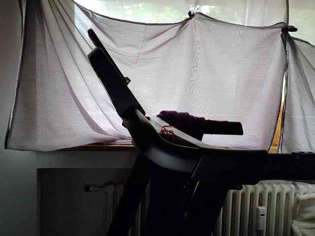 Wetgerman2 webcam