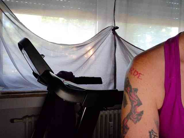 Wetgerman2 webcam