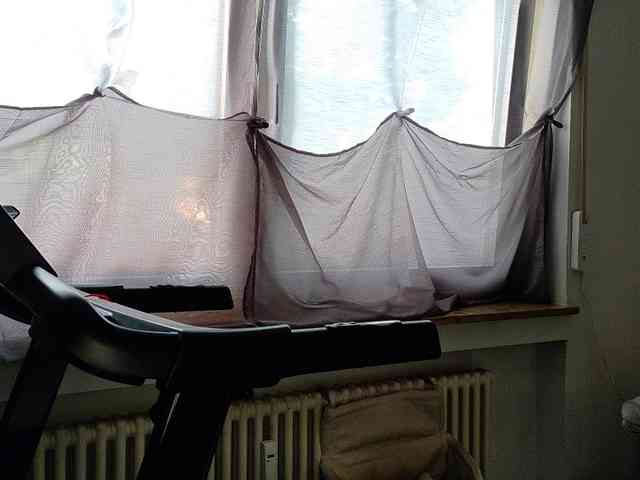 Wetgerman2 webcam