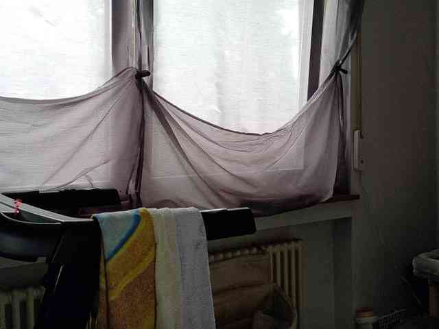 Wetgerman2 webcam
