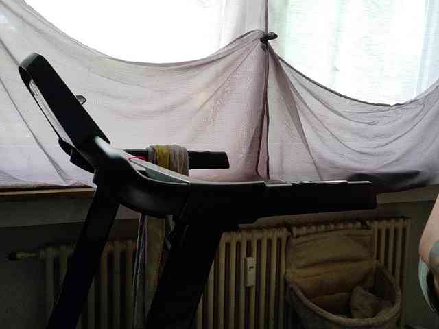 Wetgerman2 webcam