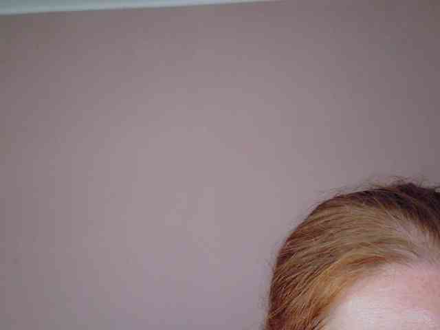 Wetgerman2 webcam