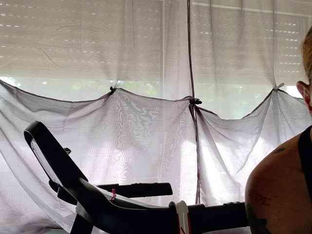Wetgerman2 webcam