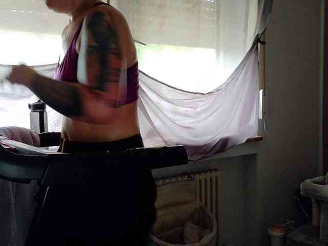 Wetgerman2 webcam