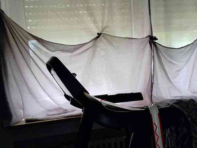 Wetgerman2 webcam