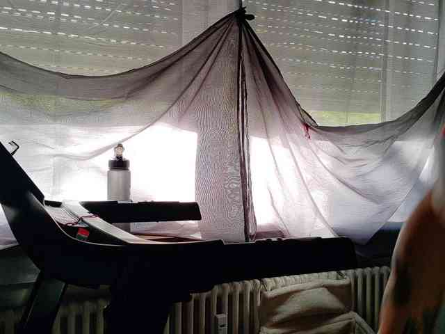Wetgerman2 webcam