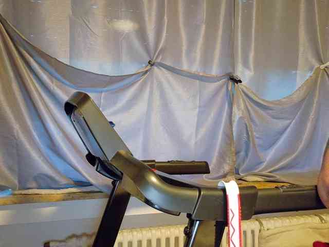 Wetgerman2 webcam