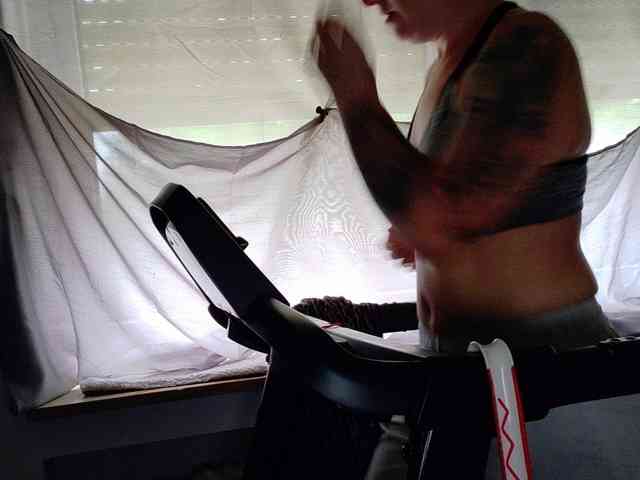 Wetgerman2 webcam
