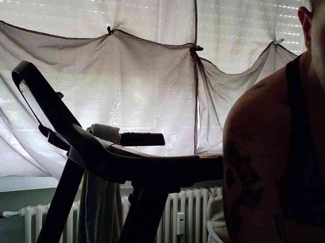 Model: Wetgerman2