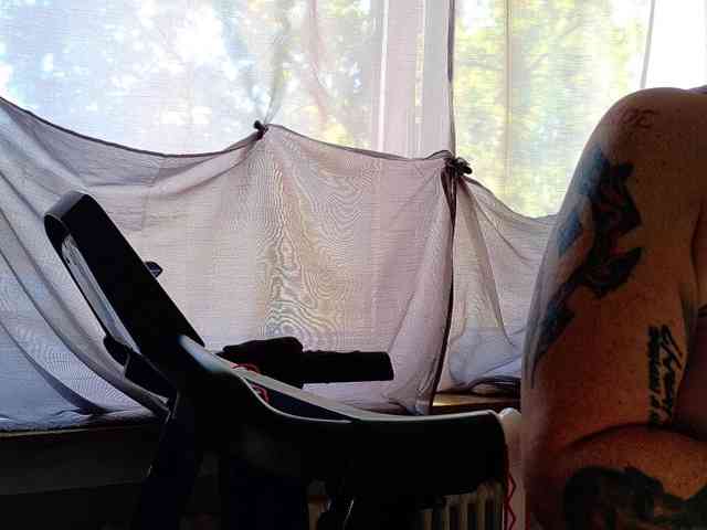 Wetgerman2 webcam