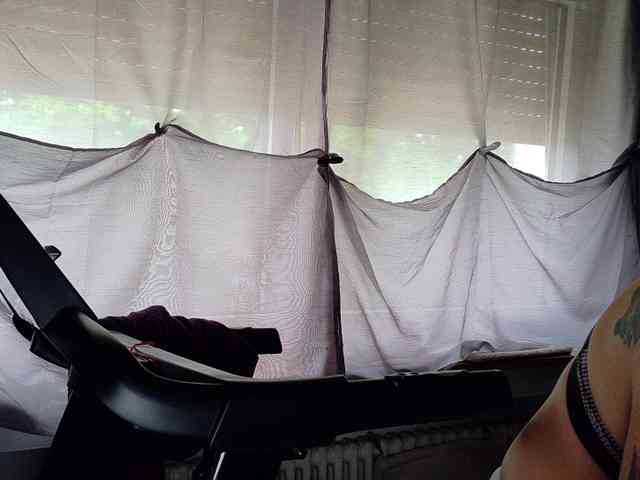 Wetgerman2 webcam