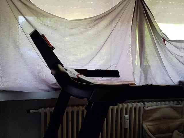 Wetgerman2 webcam