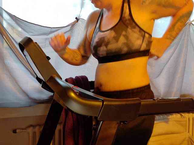 Model: Wetgerman2