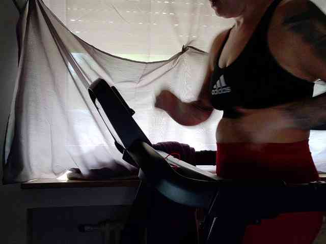 Wetgerman2 webcam