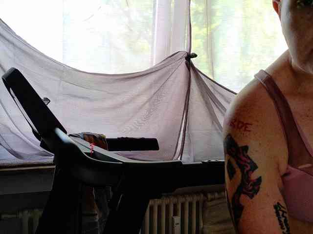 Wetgerman2 webcam