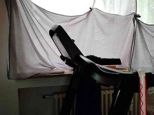 Wetgerman2 webcam