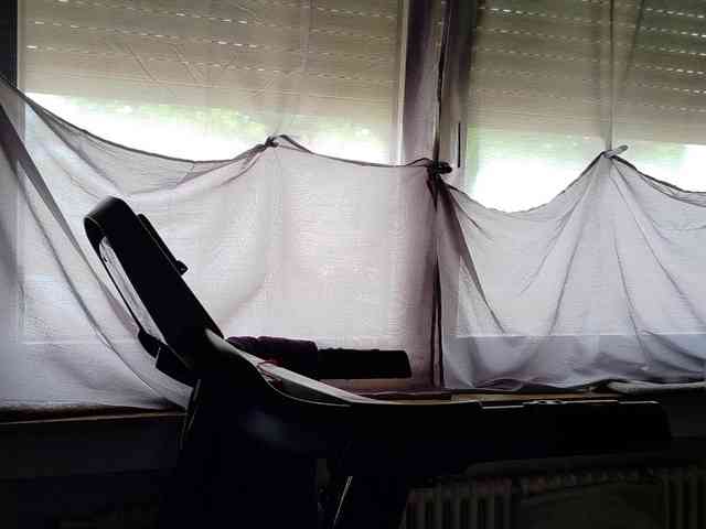Wetgerman2 webcam