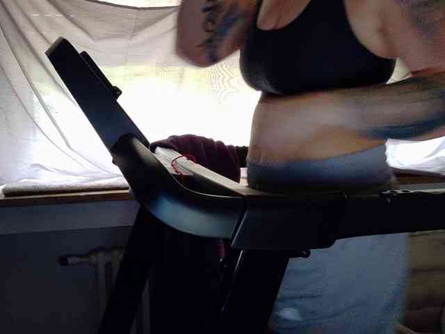 Wetgerman2 webcam