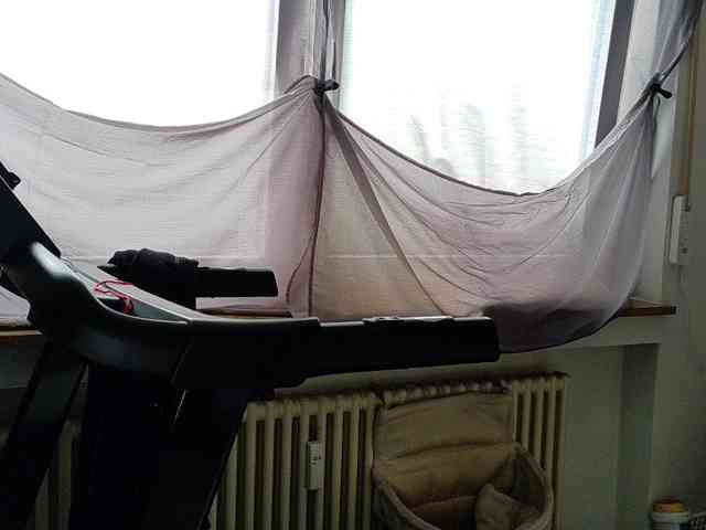 wetgerman2's live room