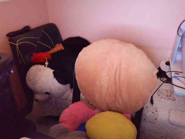 adult cam chat Fullshow69