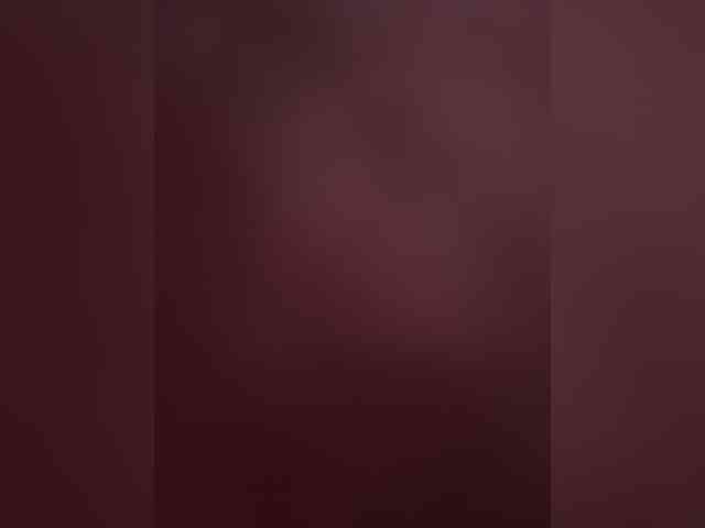 -ParaSPB- webcam