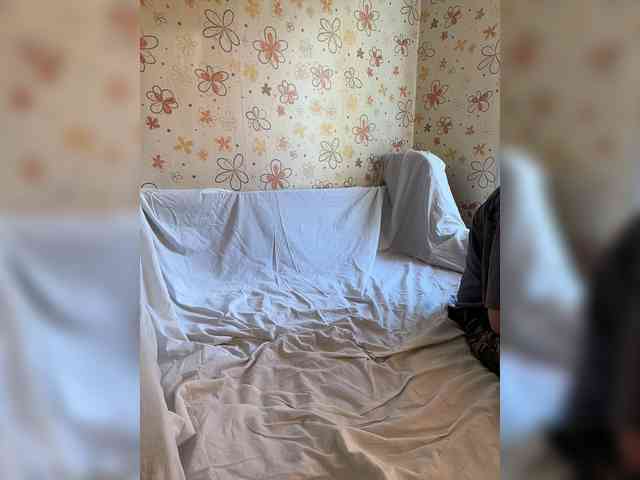 -ParaSPB- webcam