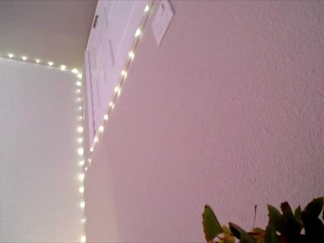 PrincessXOXO live cam on BongaCams