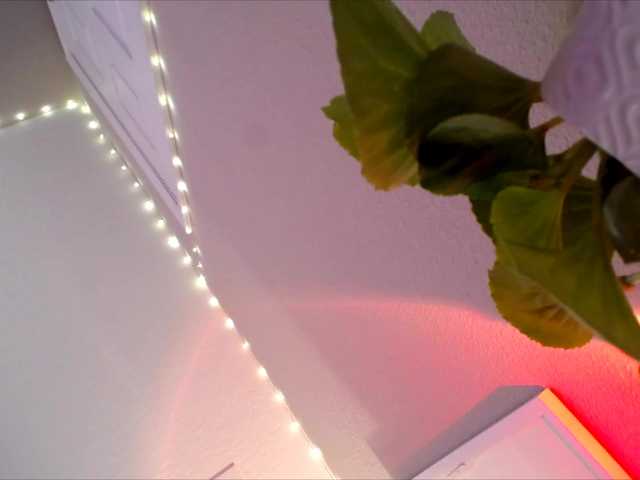 PrincessXOXO live cam