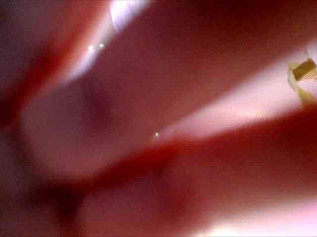 PrincessXOXO webcam