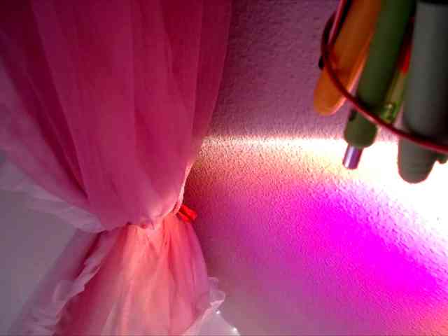 PrincessXOXO webcam