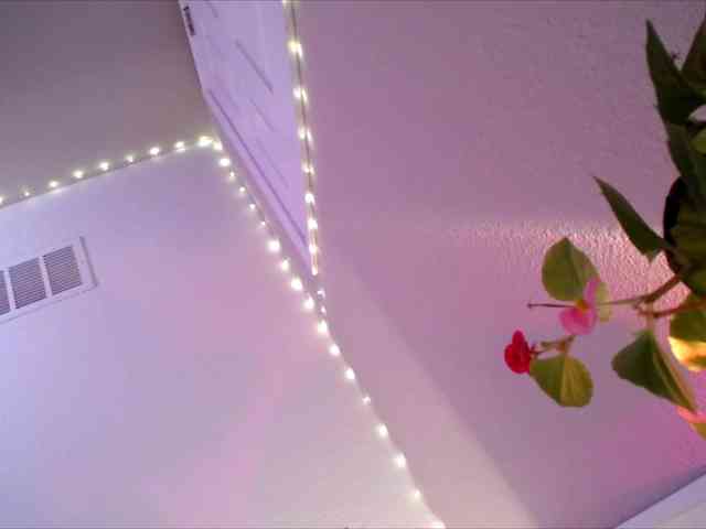 PrincessXOXO webcam